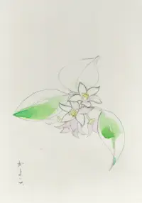風のなかのイメージ画像