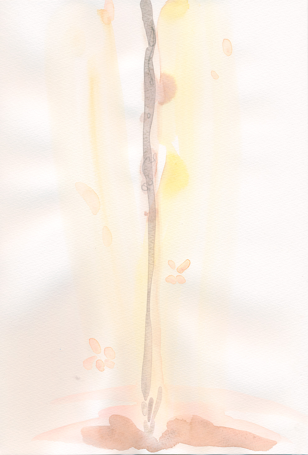 珈琲 - 03