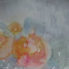だいだいの花