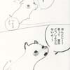 ゆるせゆるせ・ぶーぶーちゃん