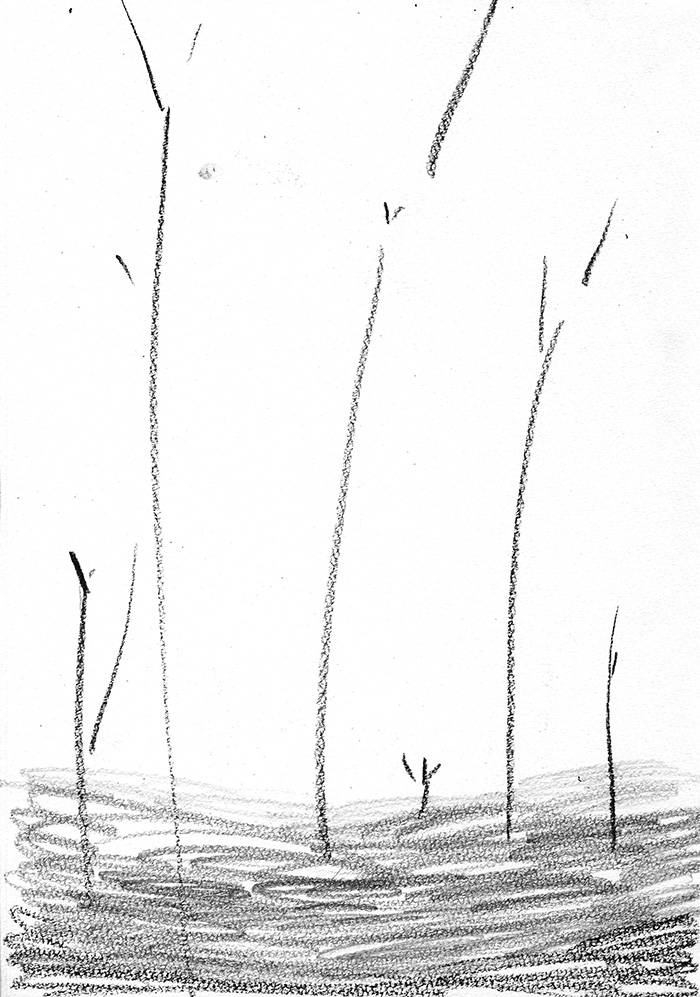 Array.title - 05