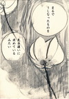 睡蓮