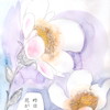 礼