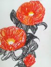 赤い花のうみ