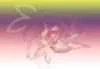 神