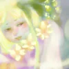 白い花