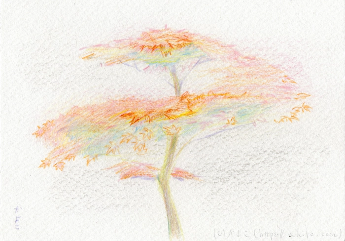 寒いけれどあたたかかった