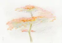 寒いけれどあたたかかったのイメージ画像