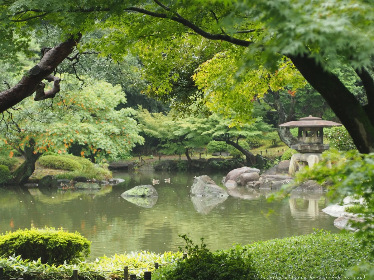 古河庭園 - 06