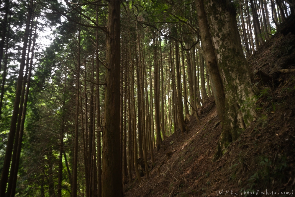 御岳山 - 06