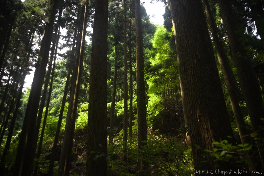 御岳山 - 09