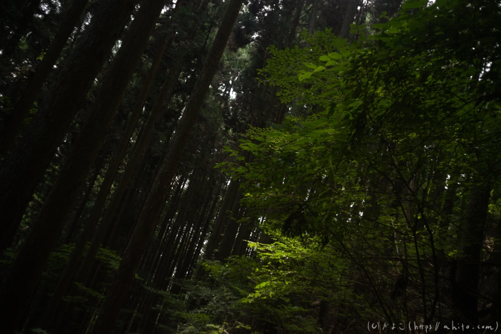 御岳山 - 10