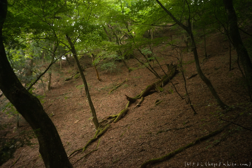御岳山 - 15