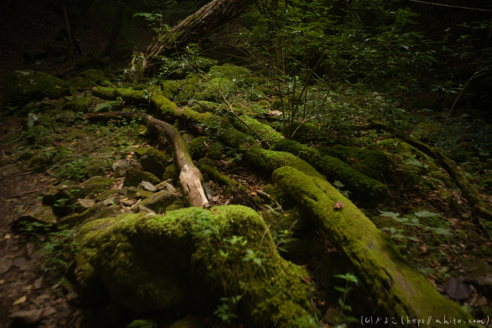 御岳山 - 20