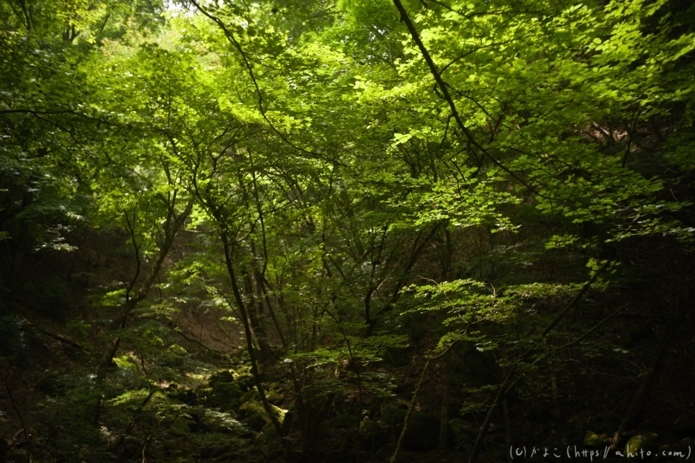 御岳山 - 22