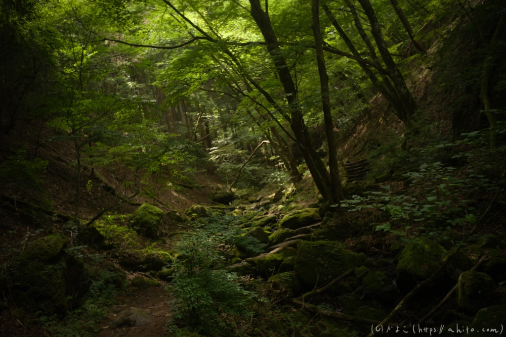 御岳山 - 23
