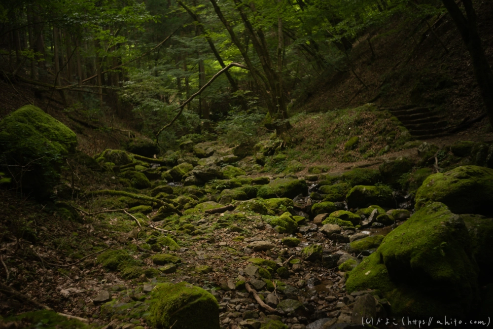御岳山 - 25