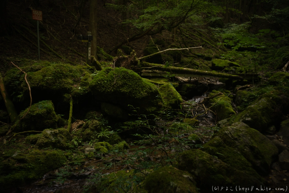 御岳山 - 27