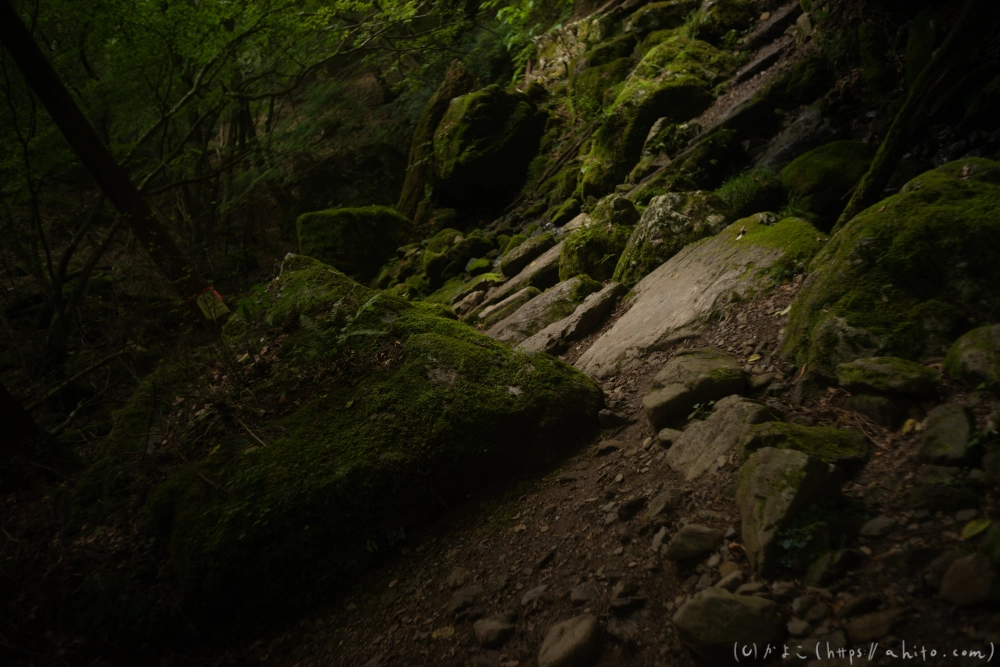 御岳山 - 31