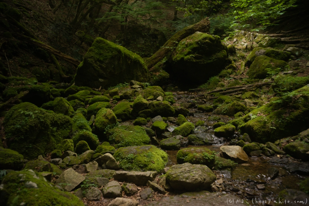 御岳山 - 32