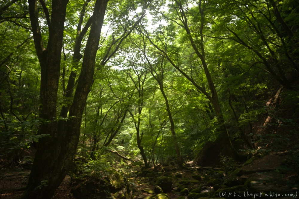 御岳山 - 35