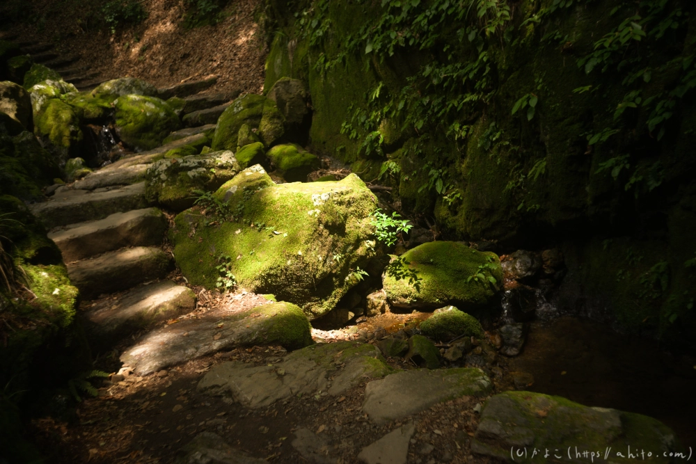御岳山 - 38