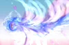 海