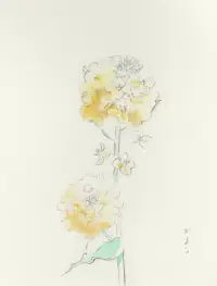 ひざし