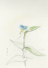 ありがとう