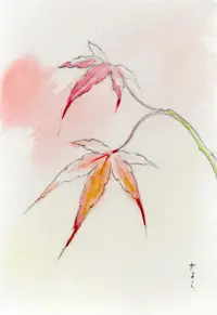 ふわりのイメージ画像