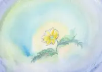 たくさんの音のイメージ画像