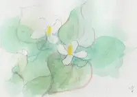 初夏の香りのイメージ画像