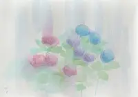 アジサイの雨のイメージ画像