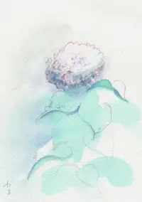 白のアジサイ　雨の日のイメージ画像