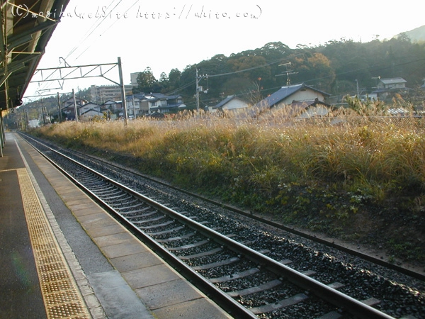 あまるべ鉄橋 - 06