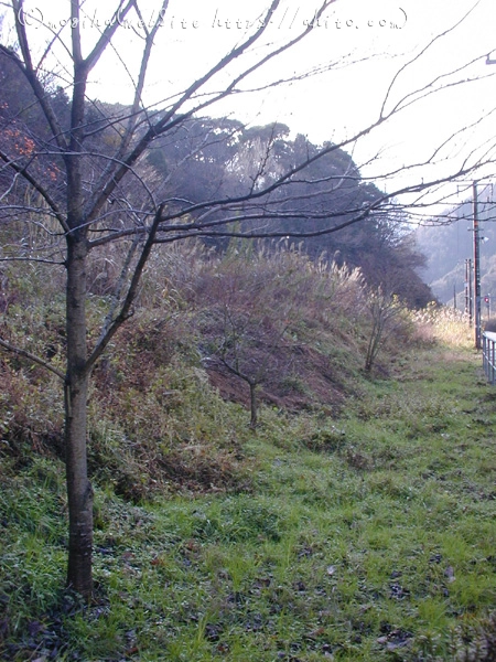 あまるべ鉄橋 - 55