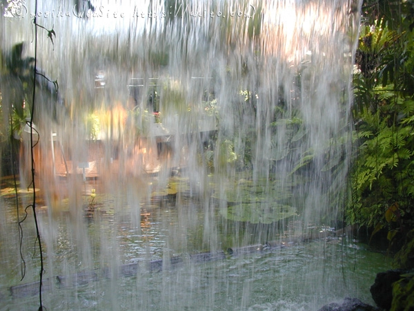 植物園 - 20