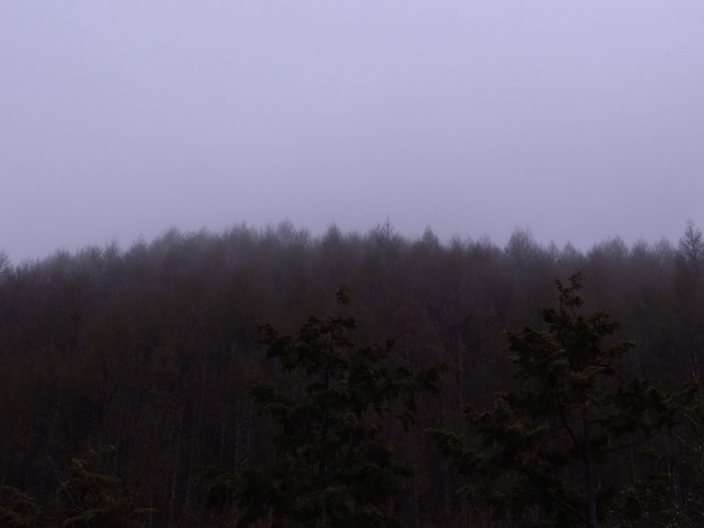 霧の山 - 01