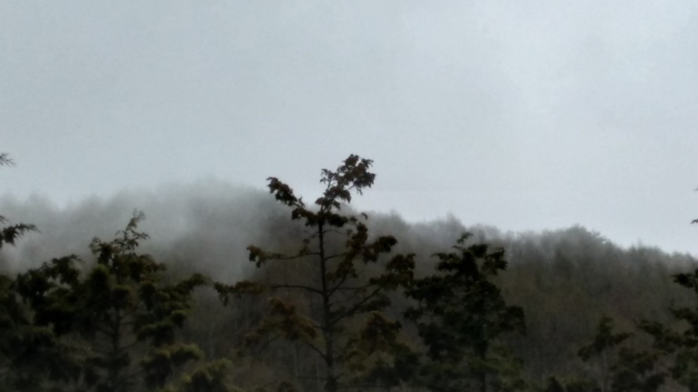 霧の山 - 05