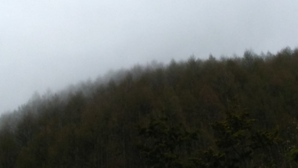霧の山 - 06