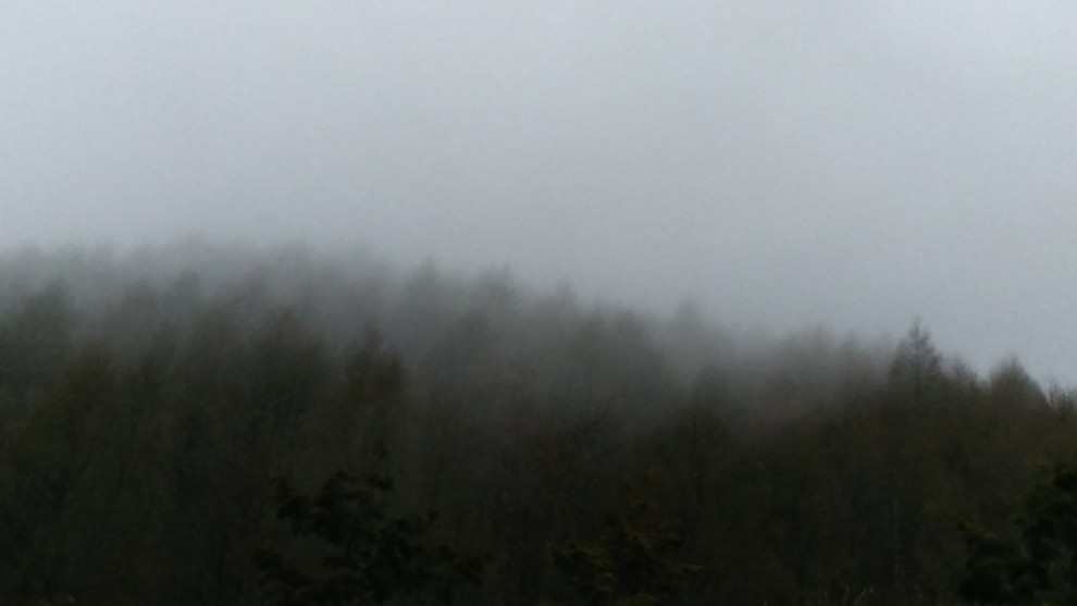霧の山 - 07