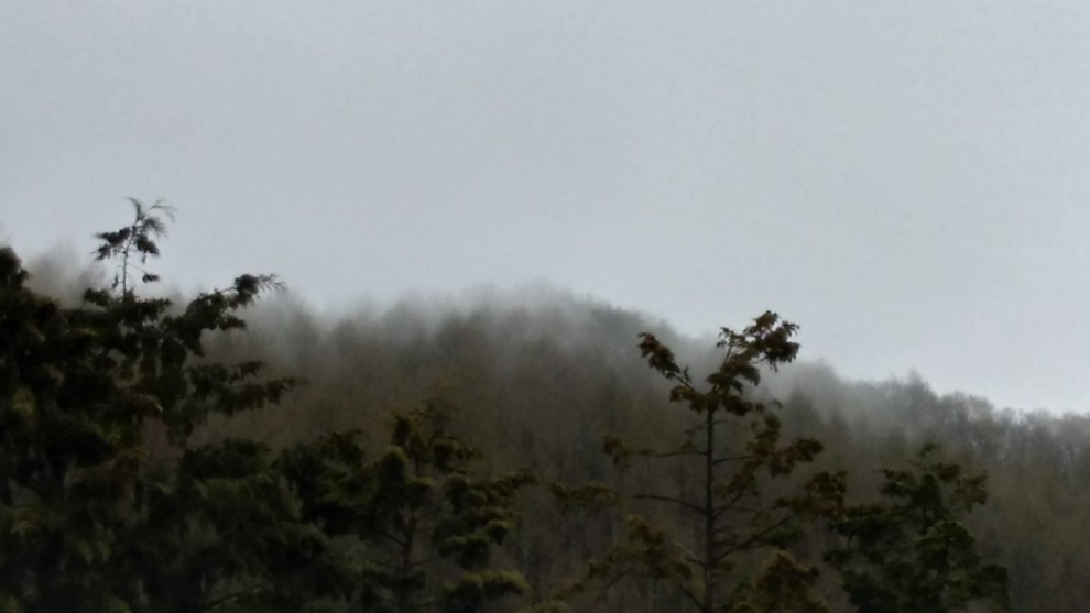 霧の山 - 08