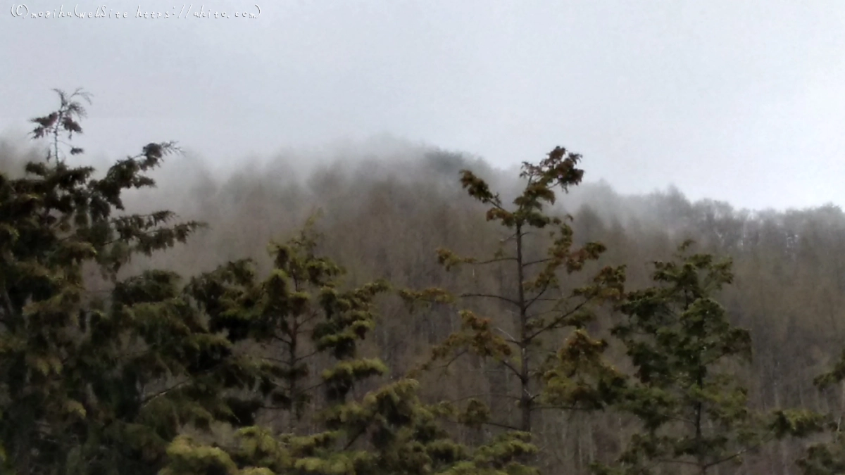 霧の山 - 09