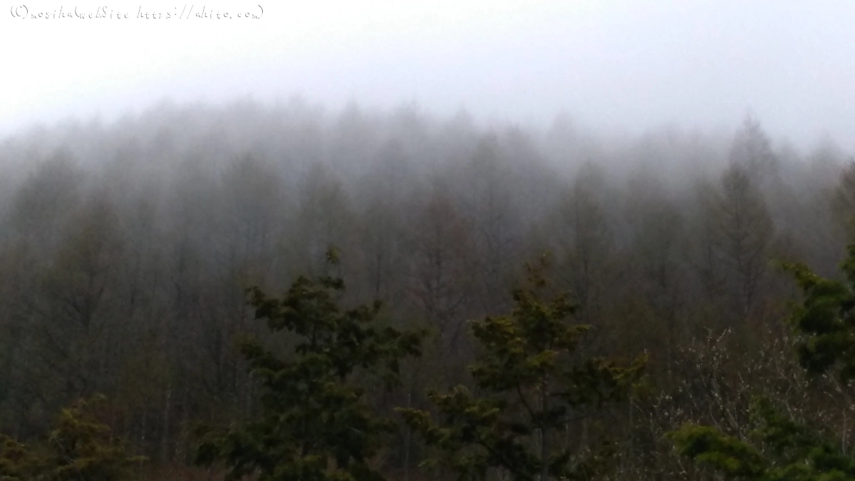 霧の山 - 10