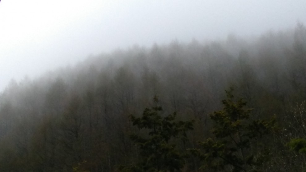 霧の山 - 11