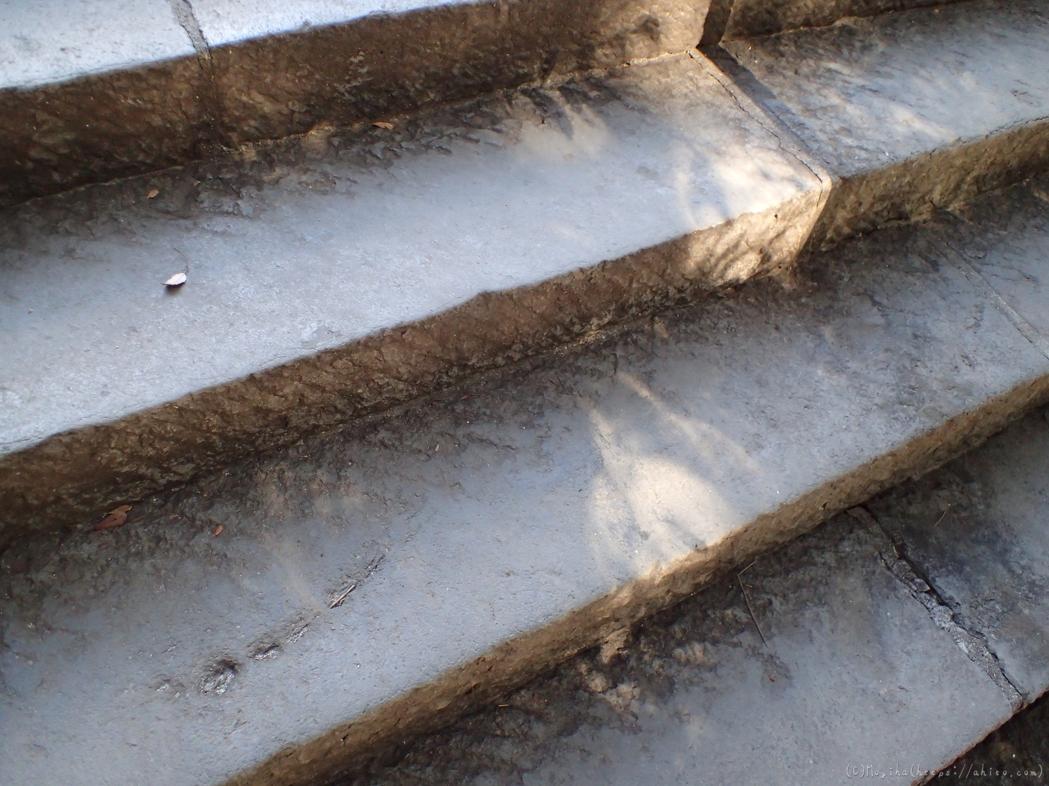 お寺の階段と梅 - 09