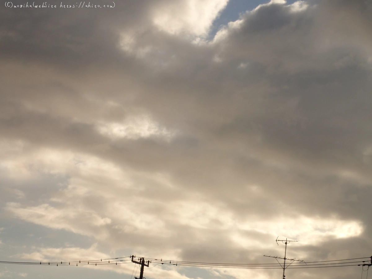 朝日と雲 - 10