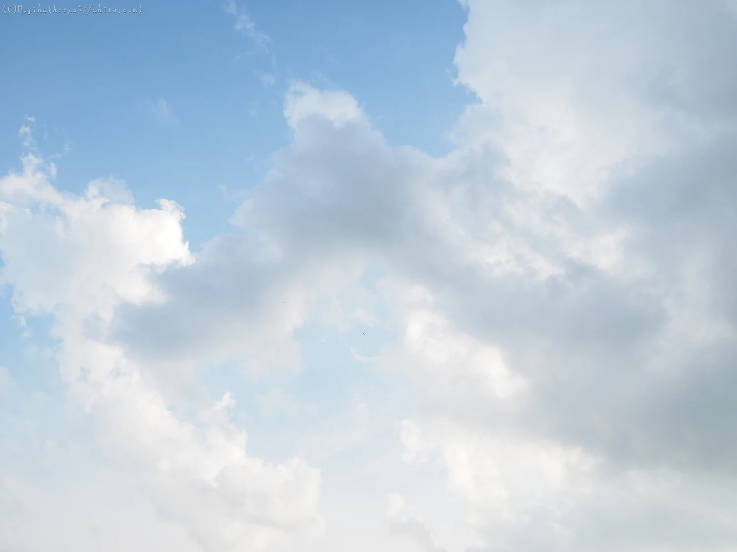 夏の空・１ - 08