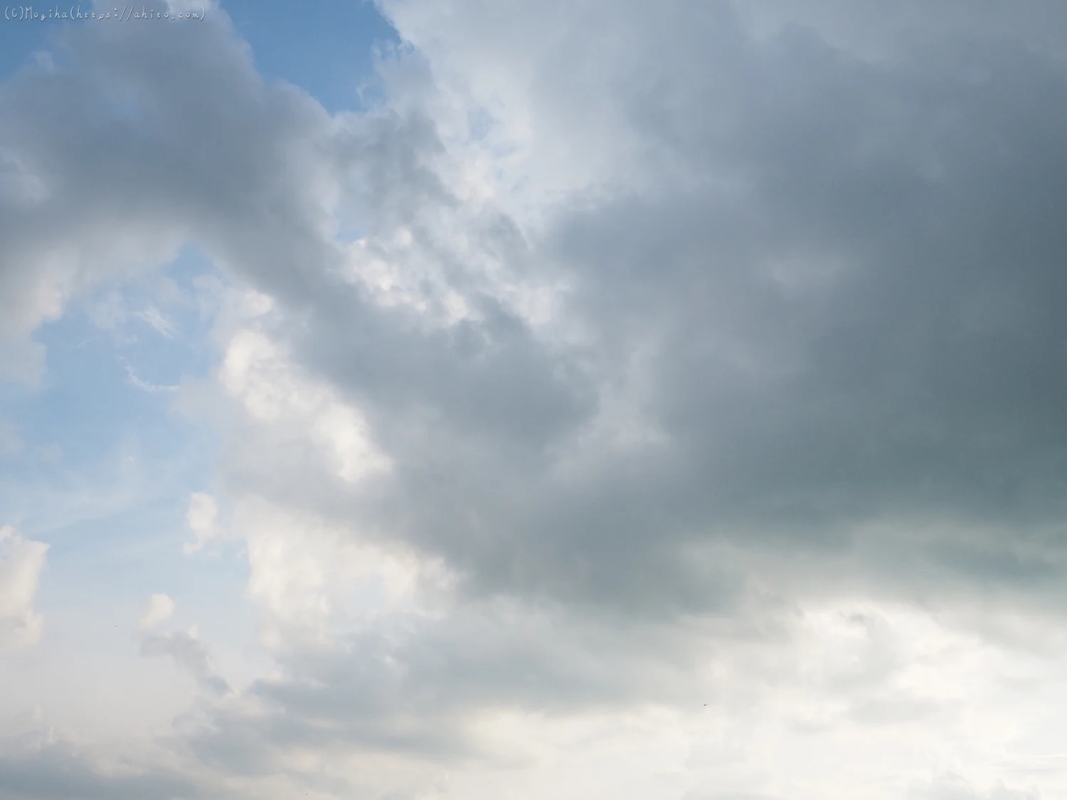 夏の空・１ - 09