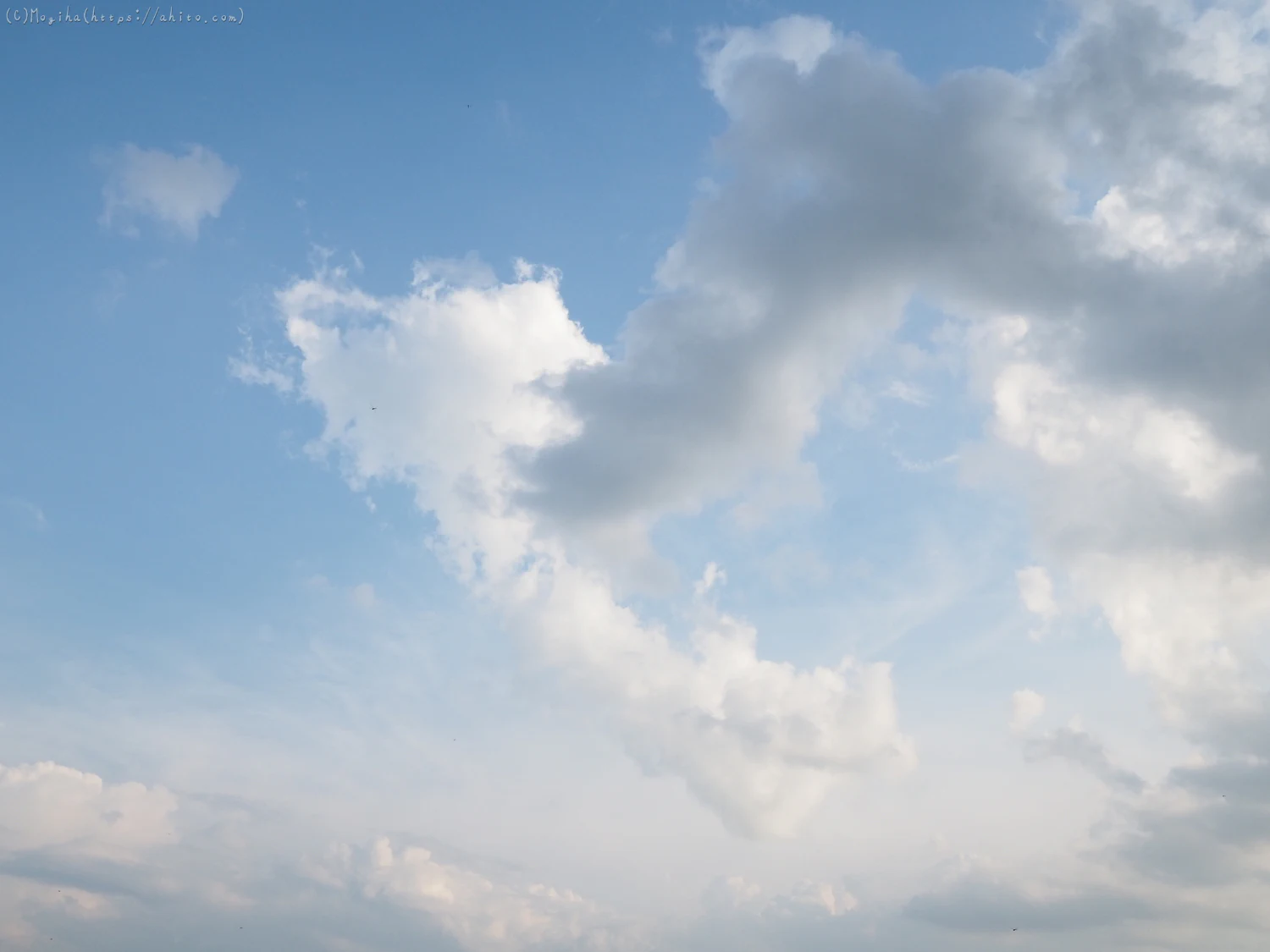 夏の空・１ - 10